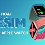 Hướng dẫn cách kích hoạt eSIM trên Apple Watch với 3 bước đơn giản