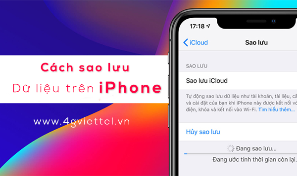 Hướng dẫn cách sao lưu dữ liệu trên iPhone vào iCloud và vào máy tính