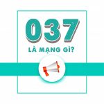 037 là mạng gì? Sim đầu số 037 mang ý nghĩa gì?